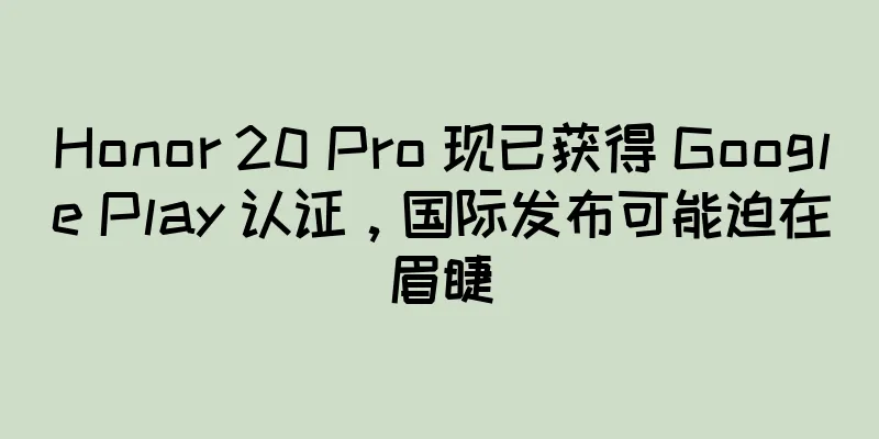 Honor 20 Pro 现已获得 Google Play 认证，国际发布可能迫在眉睫
