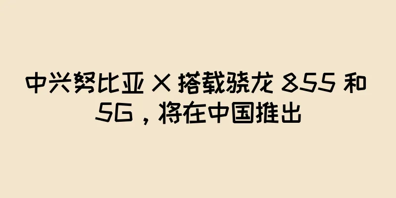 中兴努比亚 X 搭载骁龙 855 和 5G，将在中国推出