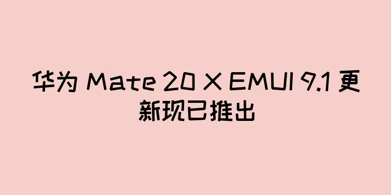 华为 Mate 20 X EMUI 9.1 更新现已推出