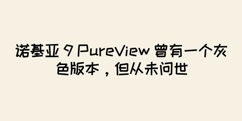 诺基亚 9 PureView 曾有一个灰色版本，但从未问世