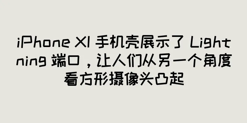 iPhone XI 手机壳展示了 Lightning 端口，让人们从另一个角度看方形摄像头凸起
