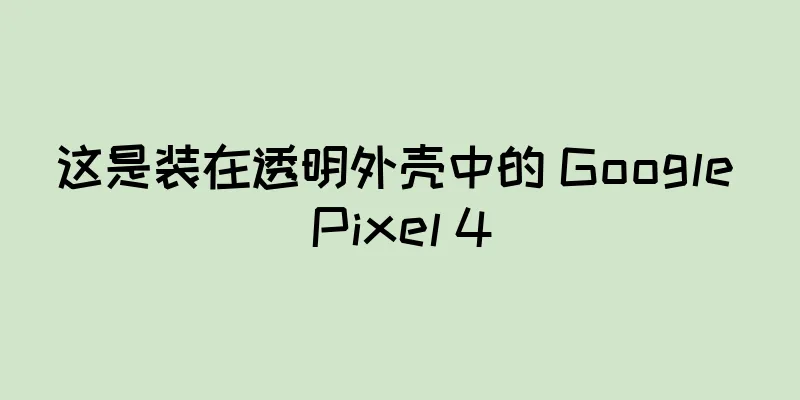 这是装在透明外壳中的 Google Pixel 4