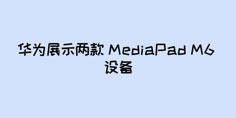 华为展示两款 MediaPad M6 设备