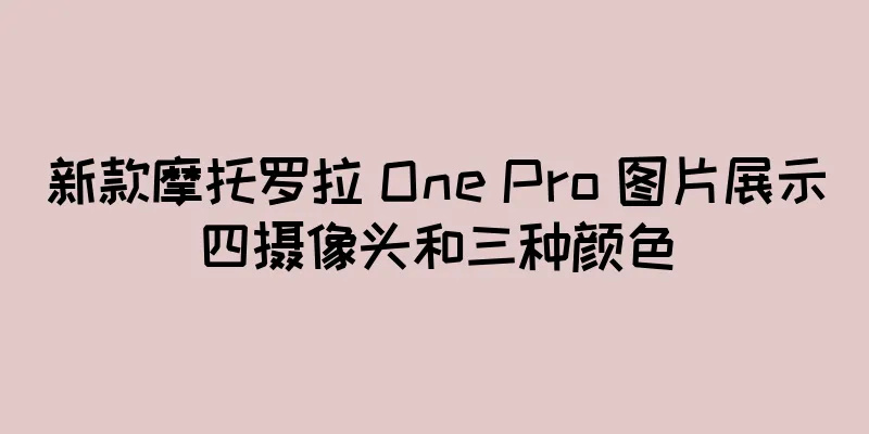 新款摩托罗拉 One Pro 图片展示四摄像头和三种颜色