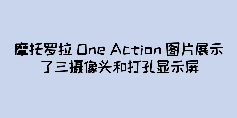 摩托罗拉 One Action 图片展示了三摄像头和打孔显示屏
