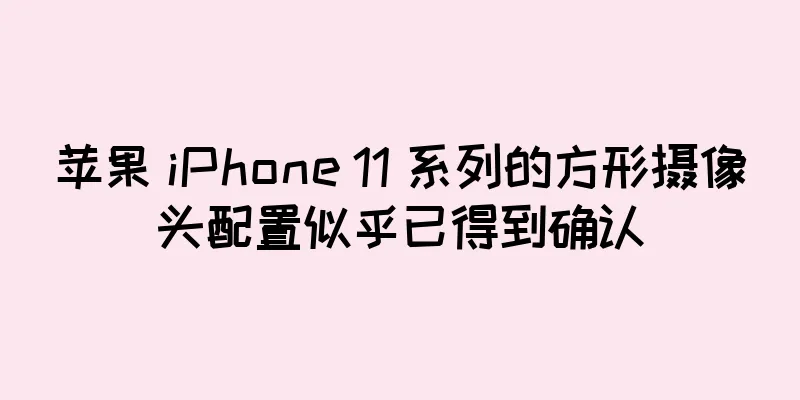 苹果 iPhone 11 系列的方形摄像头配置似乎已得到确认