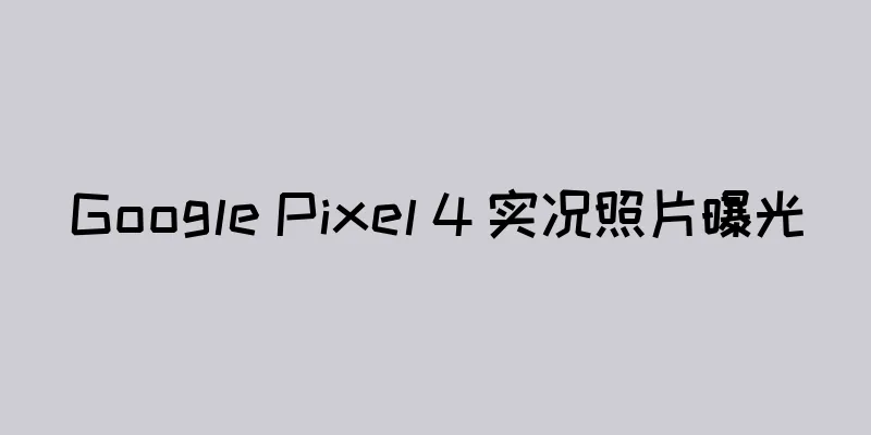 Google Pixel 4 实况照片曝光
