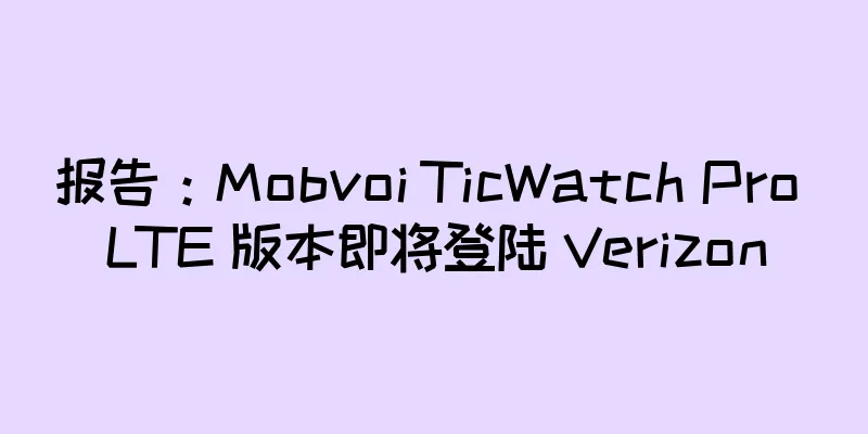 报告：Mobvoi TicWatch Pro LTE 版本即将登陆 Verizon
