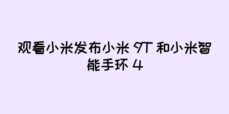 观看小米发布小米 9T 和小米智能手环 4