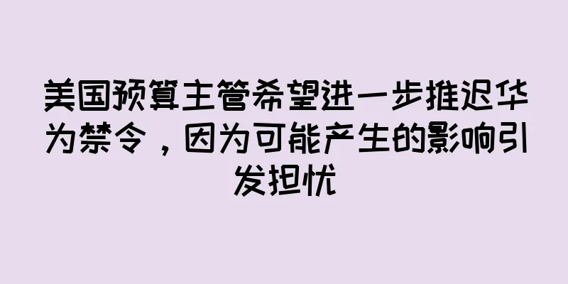 美国预算主管希望进一步推迟华为禁令，因为可能产生的影响引发担忧