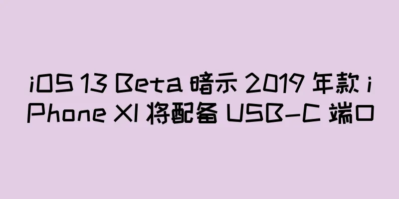 iOS 13 Beta 暗示 2019 年款 iPhone XI 将配备 USB-C 端口
