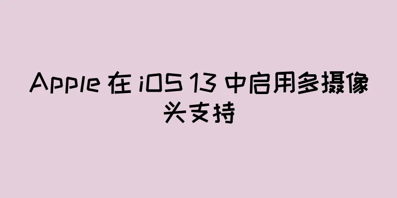 Apple 在 iOS 13 中启用多摄像头支持