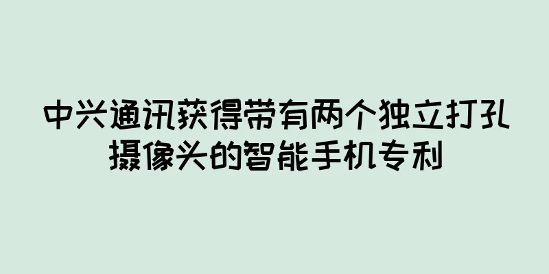中兴通讯获得带有两个独立打孔摄像头的智能手机专利
