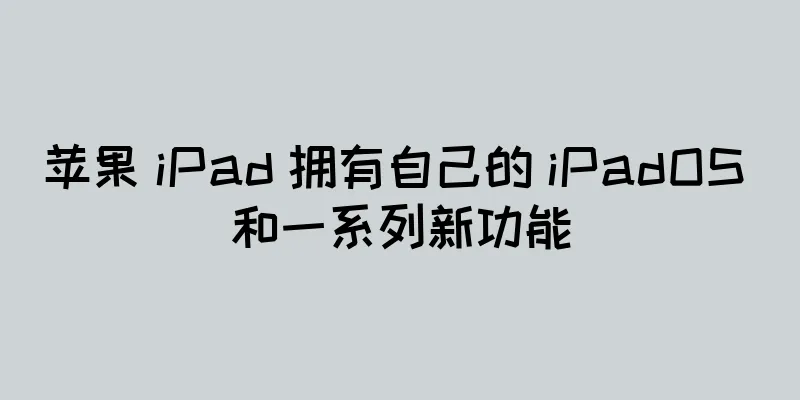 苹果 iPad 拥有自己的 iPadOS 和一系列新功能