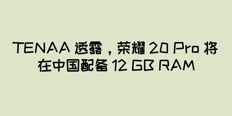 TENAA 透露，荣耀 20 Pro 将在中国配备 12 GB RAM