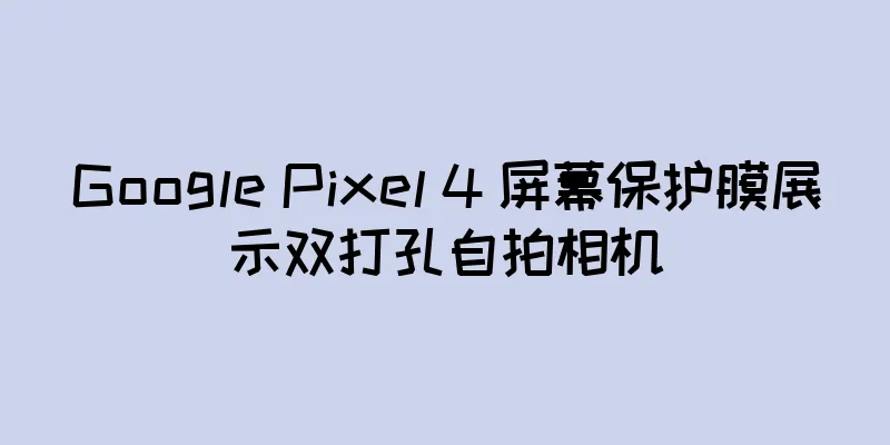 Google Pixel 4 屏幕保护膜展示双打孔自拍相机
