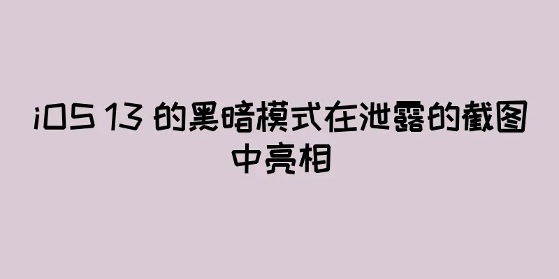 iOS 13 的黑暗模式在泄露的截图中亮相
