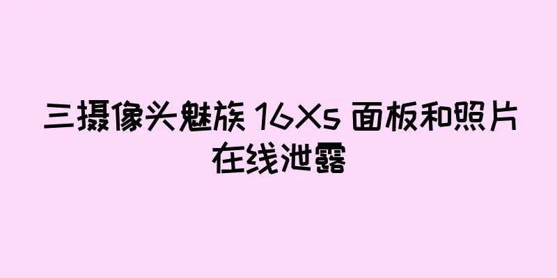 三摄像头魅族 16Xs 面板和照片在线泄露