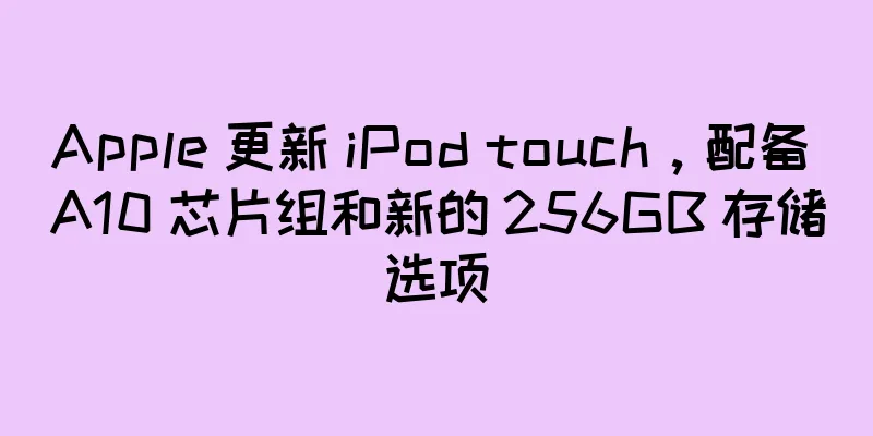 Apple 更新 iPod touch，配备 A10 芯片组和新的 256GB 存储选项