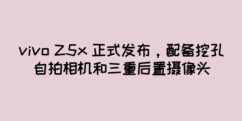 vivo Z5x 正式发布，配备挖孔自拍相机和三重后置摄像头