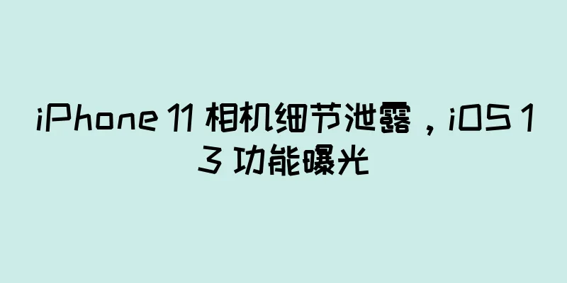 iPhone 11 相机细节泄露，iOS 13 功能曝光