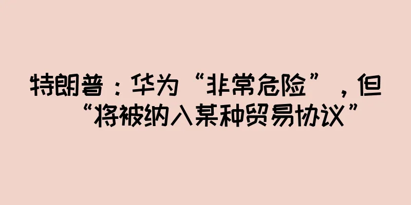 特朗普：华为“非常危险”，但“将被纳入某种贸易协议”