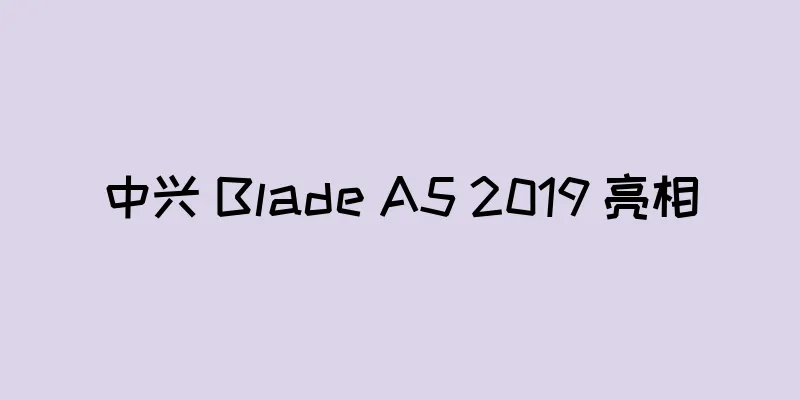 中兴 Blade A5 2019 亮相