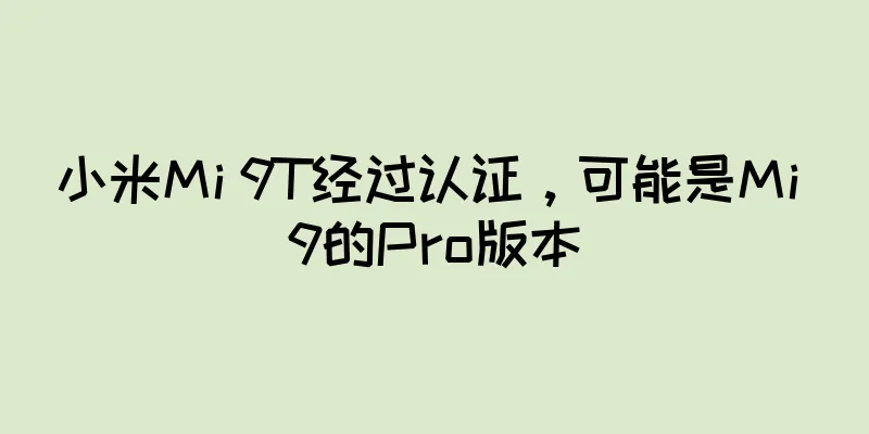 小米Mi 9T经过认证，可能是Mi 9的Pro版本