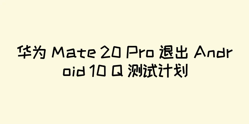 华为 Mate 20 Pro 退出 Android 10 Q 测试计划