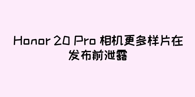 Honor 20 Pro 相机更多样片在发布前泄露
