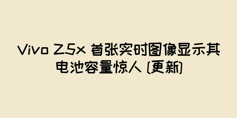 Vivo Z5x 首张实时图像显示其电池容量惊人 [更新]