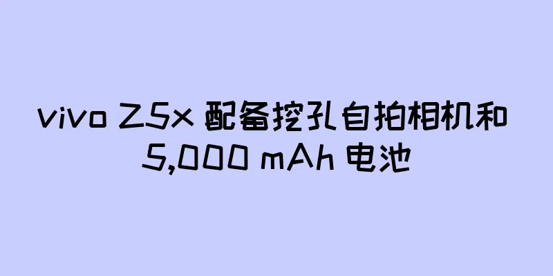 vivo Z5x 配备挖孔自拍相机和 5,000 mAh 电池