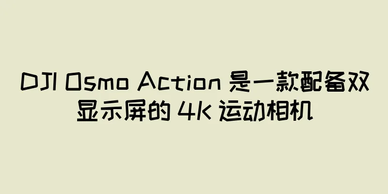 DJI Osmo Action 是一款配备双显示屏的 4K 运动相机