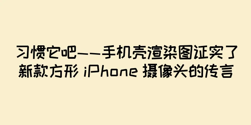 习惯它吧——手机壳渲染图证实了新款方形 iPhone 摄像头的传言