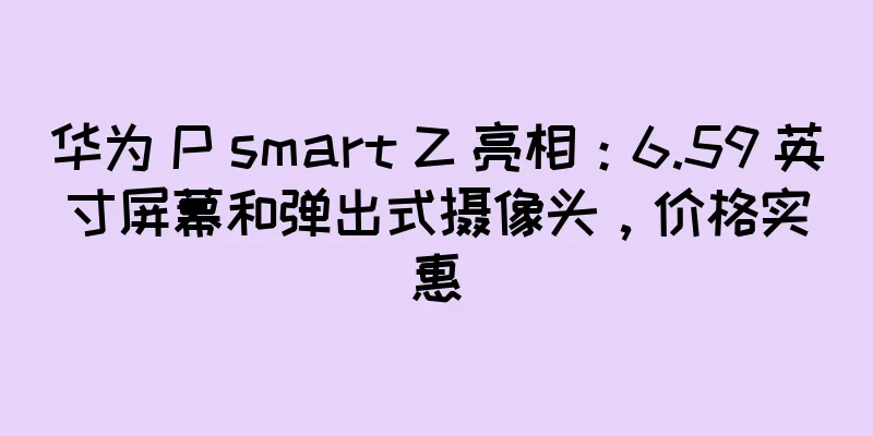华为 P smart Z 亮相：6.59 英寸屏幕和弹出式摄像头，价格实惠