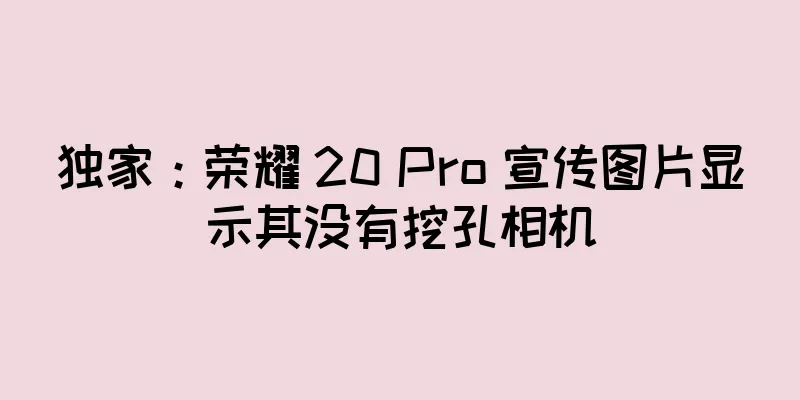 独家：荣耀 20 Pro 宣传图片显示其没有挖孔相机