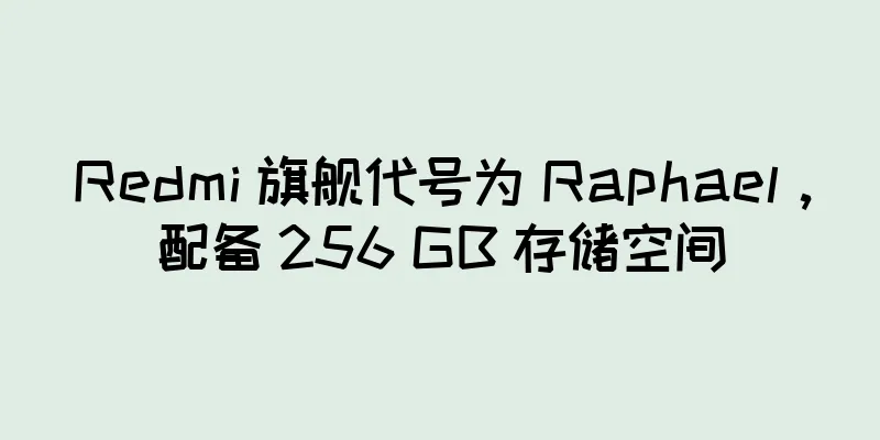 Redmi 旗舰代号为 Raphael，配备 256 GB 存储空间