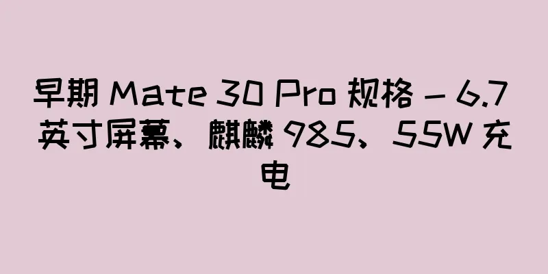 早期 Mate 30 Pro 规格 - 6.7 英寸屏幕、麒麟 985、55W 充电