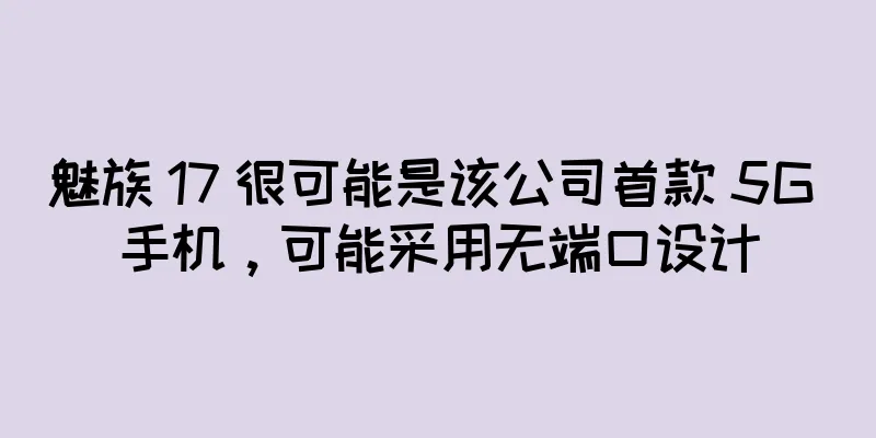 魅族 17 很可能是该公司首款 5G 手机，可能采用无端口设计