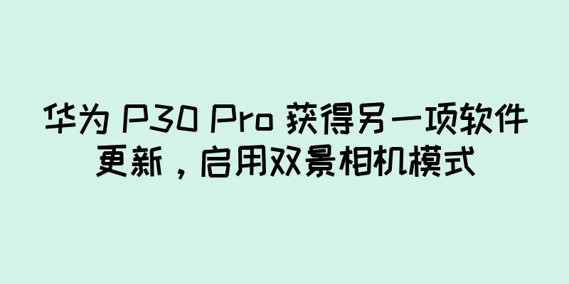 华为 P30 Pro 获得另一项软件更新，启用双景相机模式