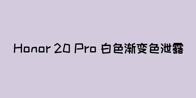 Honor 20 Pro 白色渐变色泄露