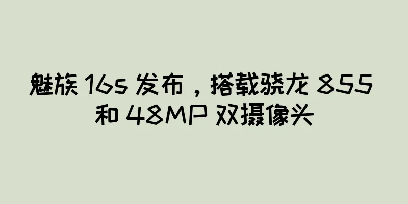 魅族 16s 发布，搭载骁龙 855 和 48MP 双摄像头