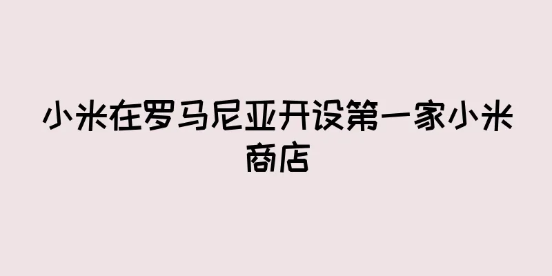 小米在罗马尼亚开设第一家小米商店