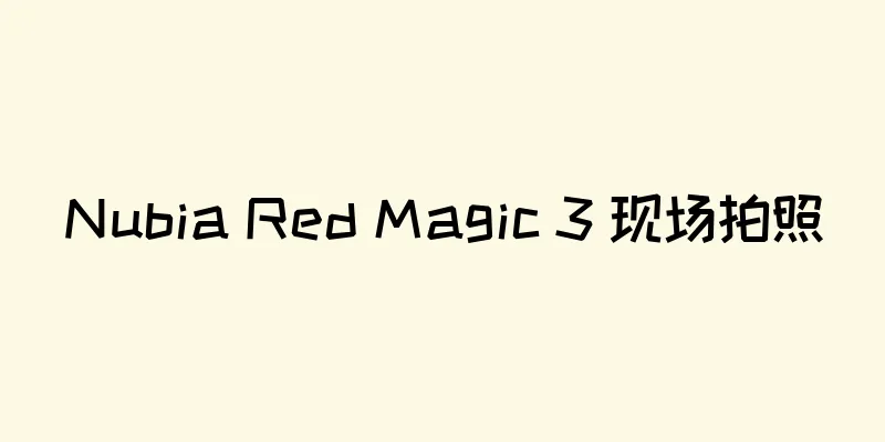 Nubia Red Magic 3 现场拍照