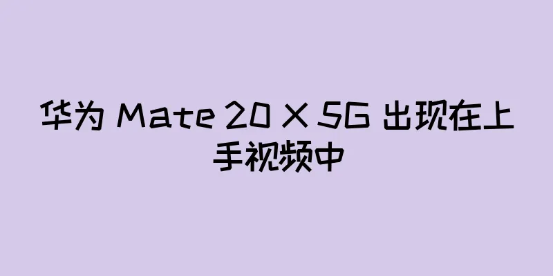 华为 Mate 20 X 5G 出现在上手视频中