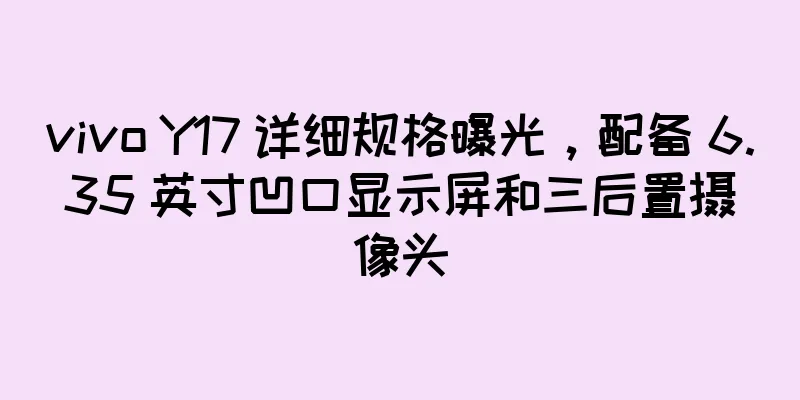 vivo Y17 详细规格曝光，配备 6.35 英寸凹口显示屏和三后置摄像头