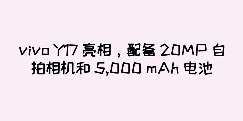 vivo Y17 亮相，配备 20MP 自拍相机和 5,000 mAh 电池