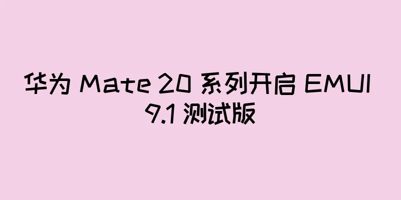 华为 Mate 20 系列开启 EMUI 9.1 测试版