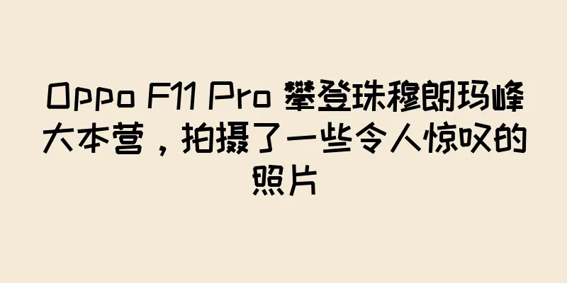 Oppo F11 Pro 攀登珠穆朗玛峰大本营，拍摄了一些令人惊叹的照片