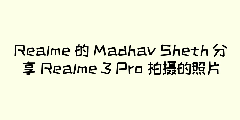 Realme 的 Madhav Sheth 分享 Realme 3 Pro 拍摄的照片